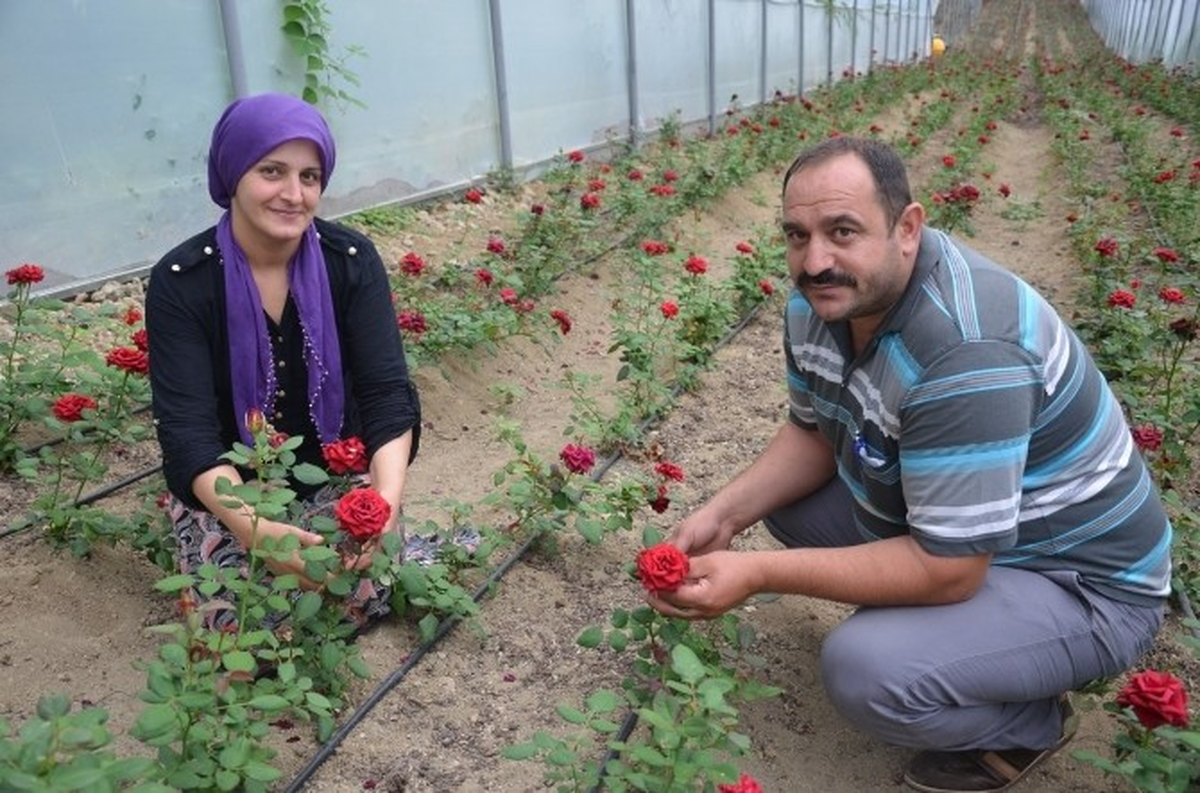 Fındığı Söküp Kesme Çiçekçiliğe Başladı