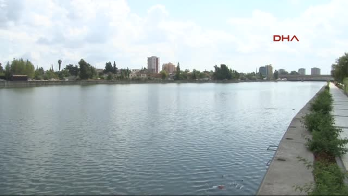 Seyhan Nehri\'nde Çok Sayıda Balık Öldü
