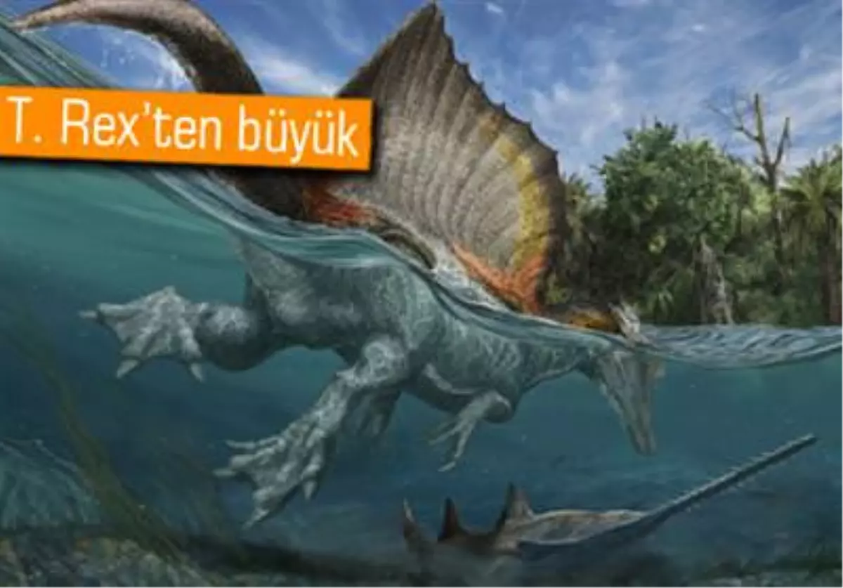 İlk Kez Yüzebilen Bir Dinozor Keşfedildi!