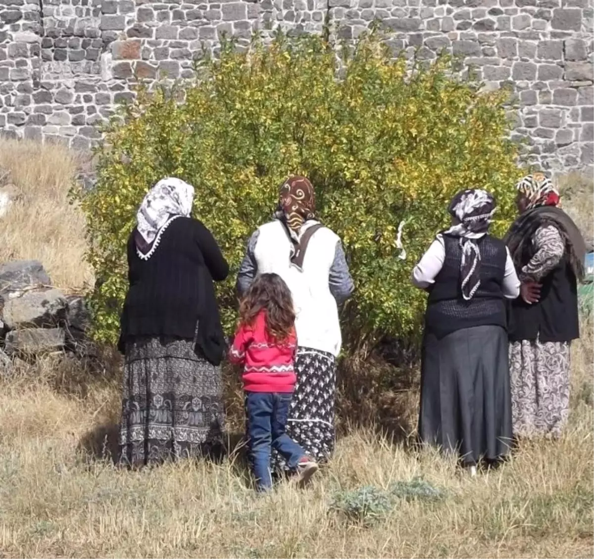 Celal Baba Türbesini Ziyaret Edenler Ağaçlara Bez Bağlayıp Dilek Tutuyor