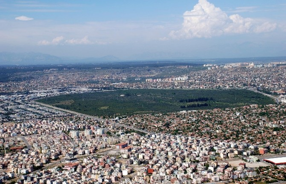 Tütüncü, "Vakıf Çiftliği\'ni Halka Kazandıracağız"