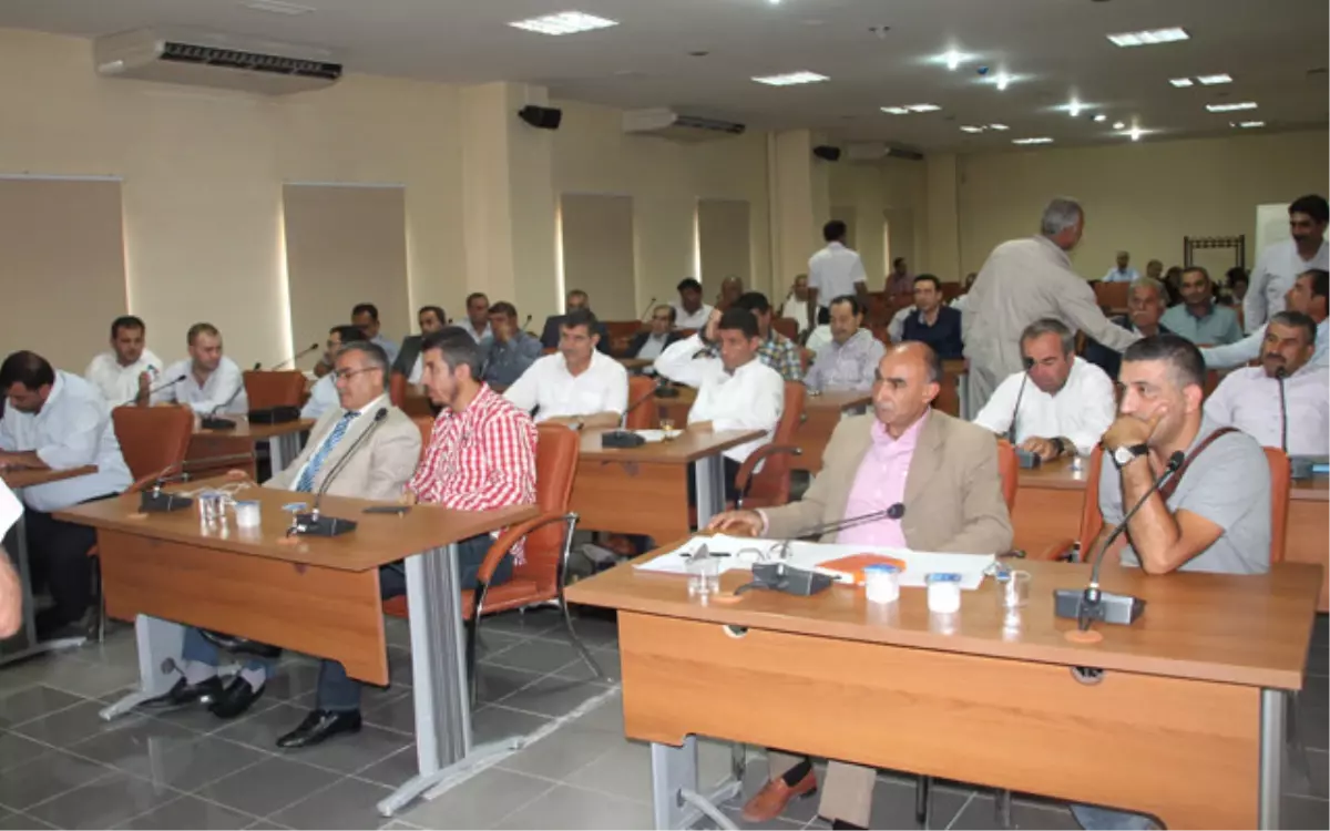 İnşallah Sırf \'Yeşillik Olsun\' Diye Yazılmadı!