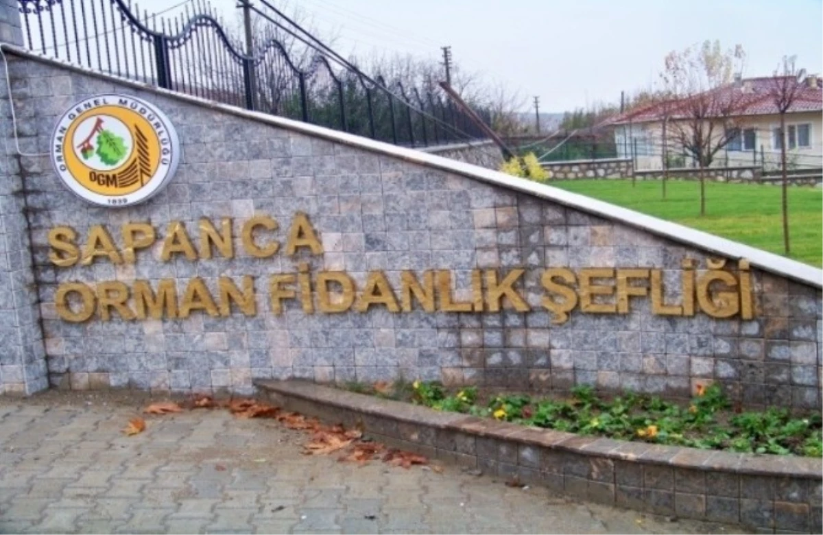 Sakarya Ormanları İçin 1 Milyon 53 Bin 263 Fidan Üretildi