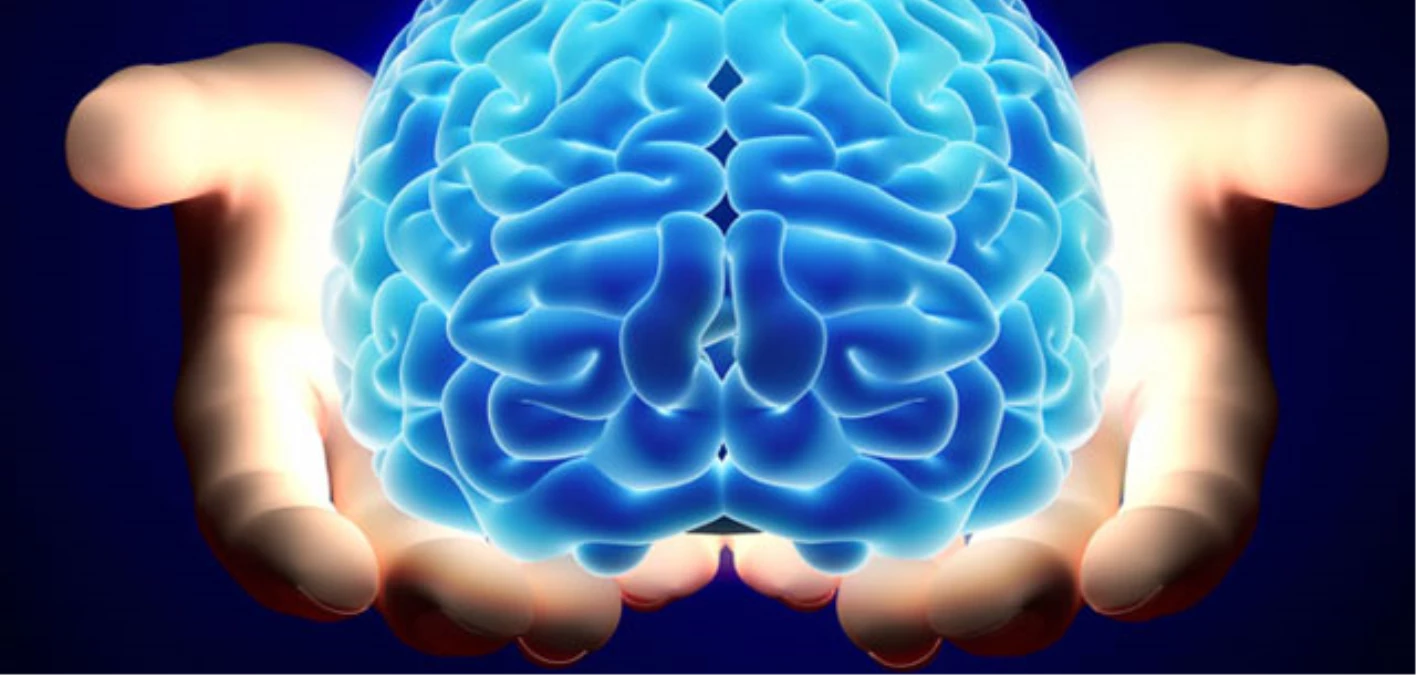 Beyin, Alzheimer\'ın Verdiği Zararı "Telafi" Edebilir