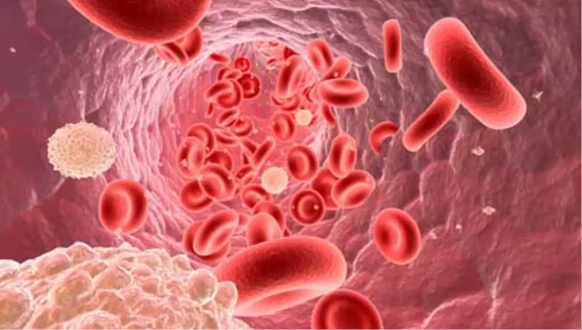 Dünya Lenfoma Günü