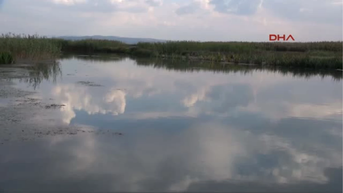 Büyük Menderes\'teki Kirlilik Balık Çiftliğini Vurdu