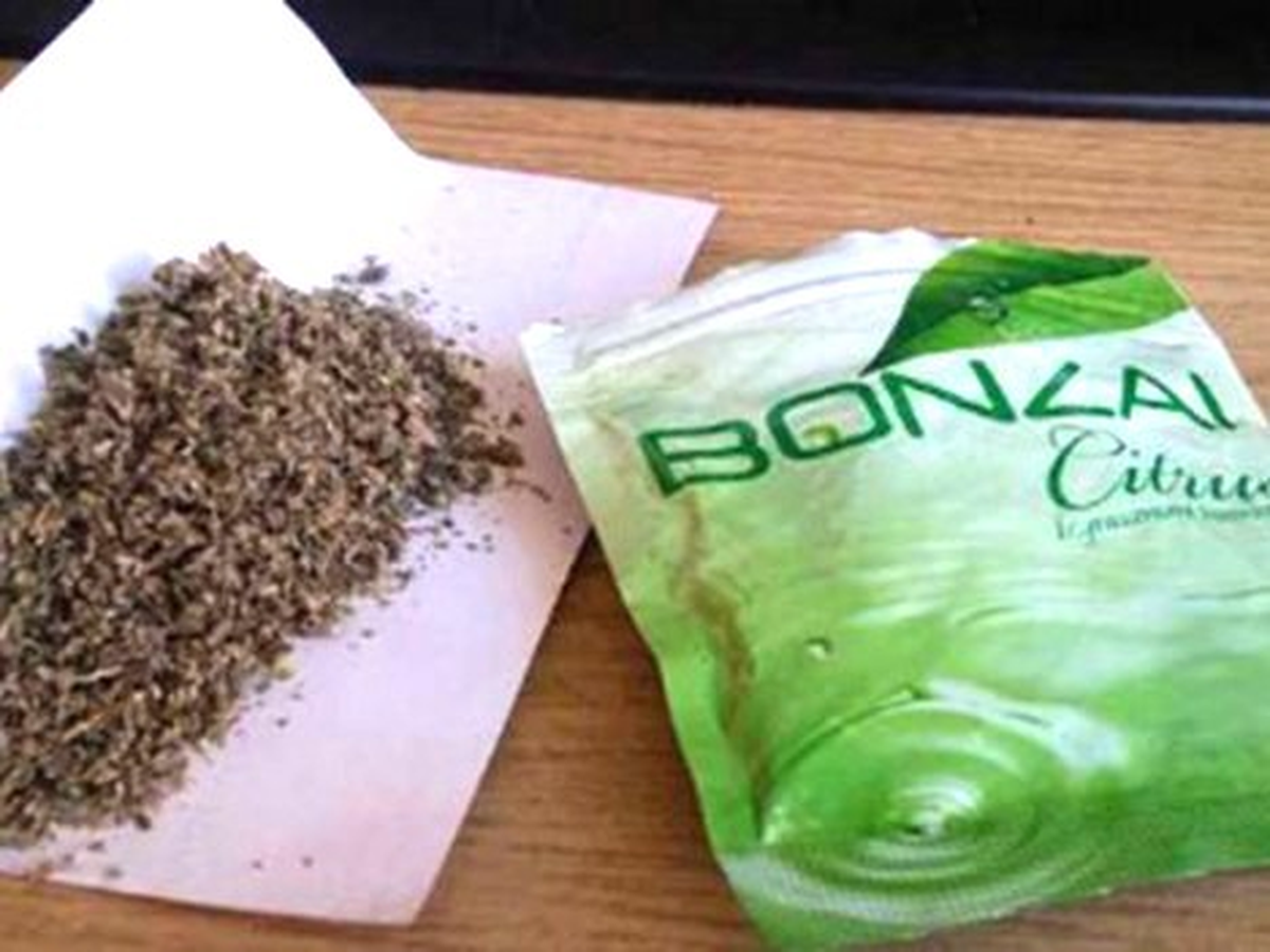 Doktorlar, Bonzaiye Karşı Mücadele Başlattı