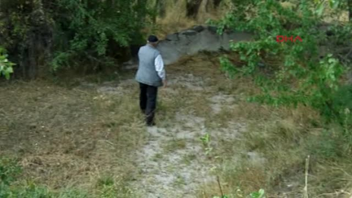 Dört Bin Ağaç Kuruma Tehdidiyle Karşı Karşıya