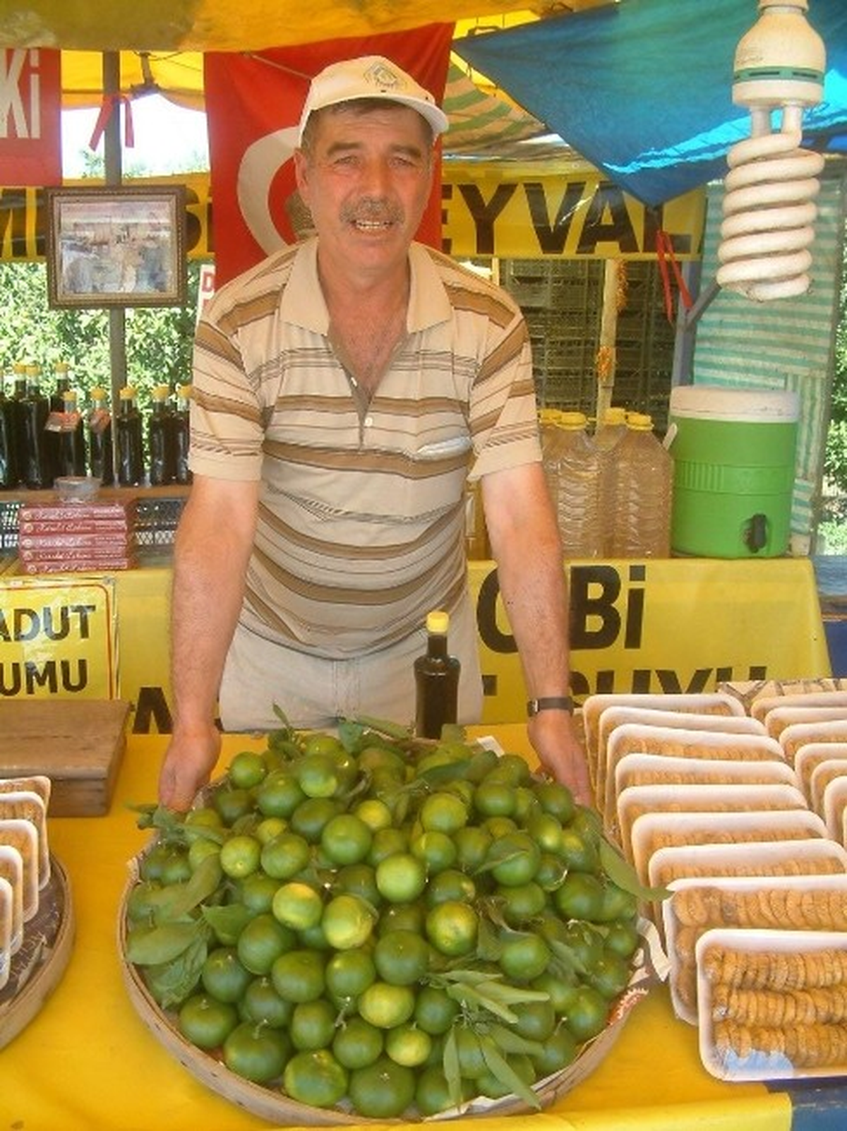 Havran\'da Mandalina Hasadına Başlandı