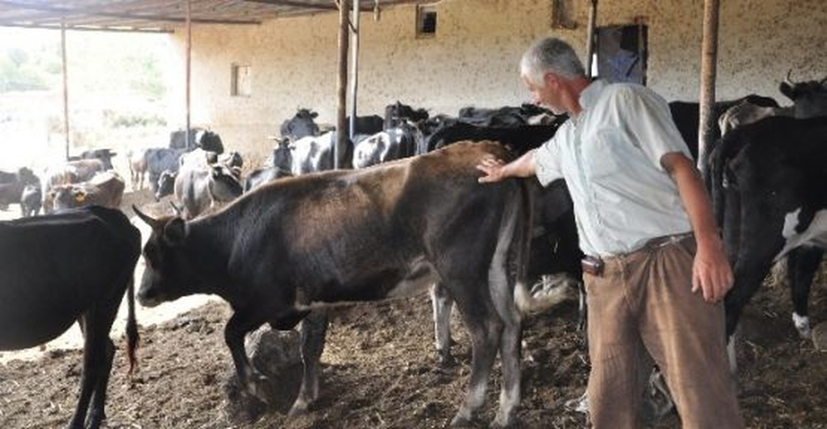Jandarmadan Kurban Bayramı Öncesi Uyarı