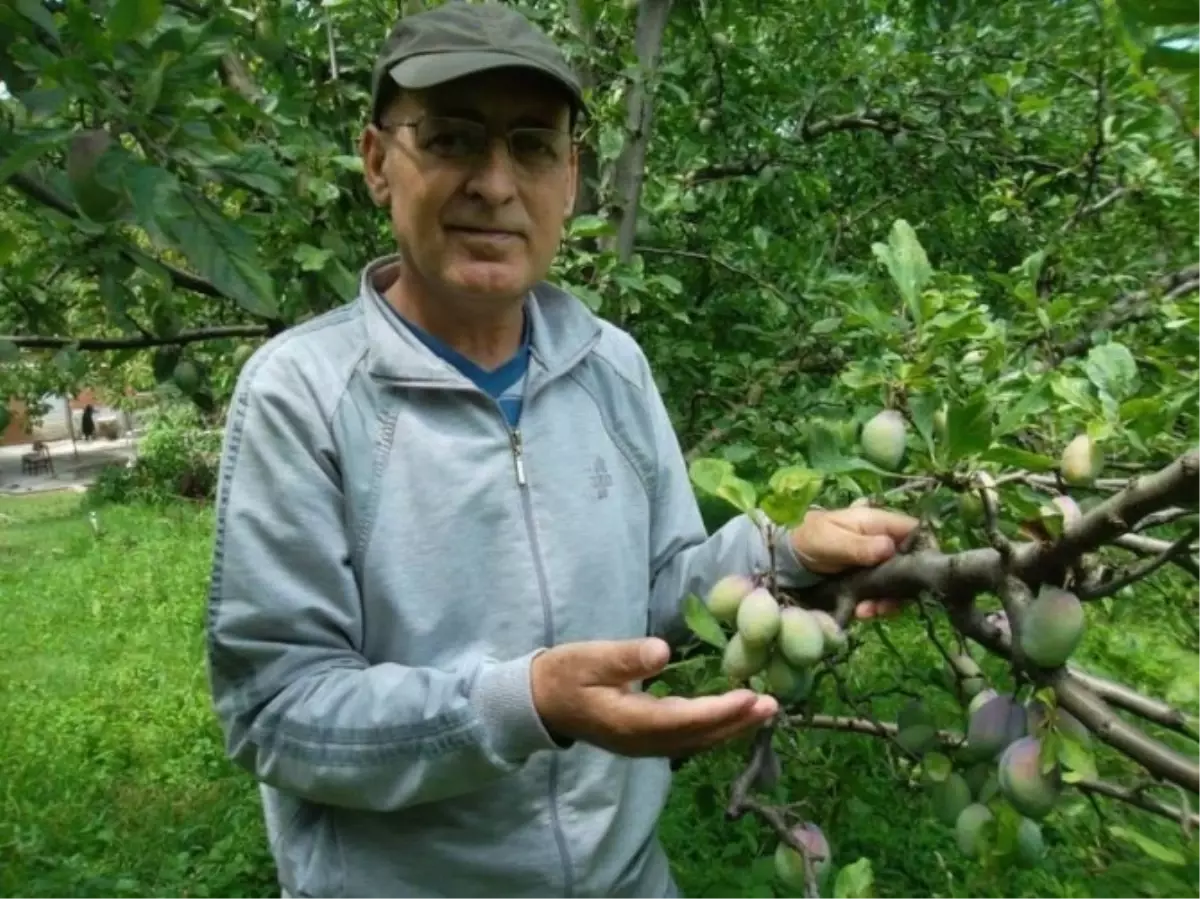 Bursa\'da Kanseri Görmeyen Doktora Hapis İstemi