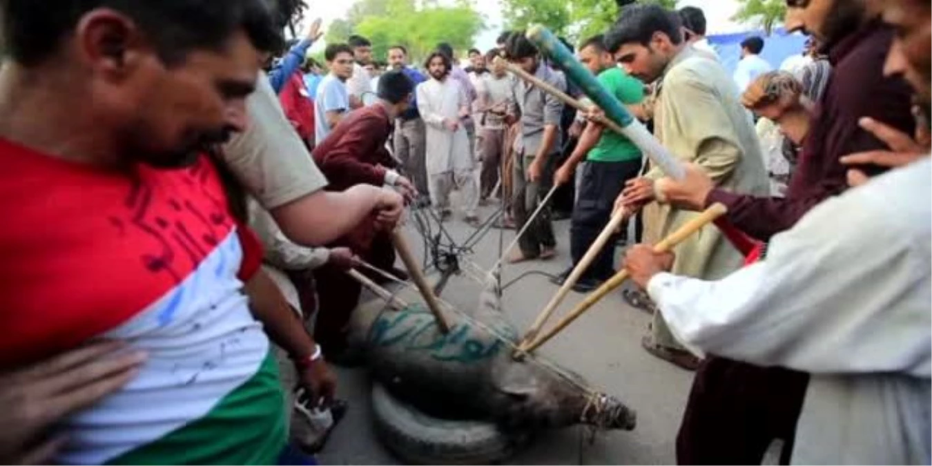 Pakistan\'da Göstericiler Meydanda Domuz Dolaştırdı