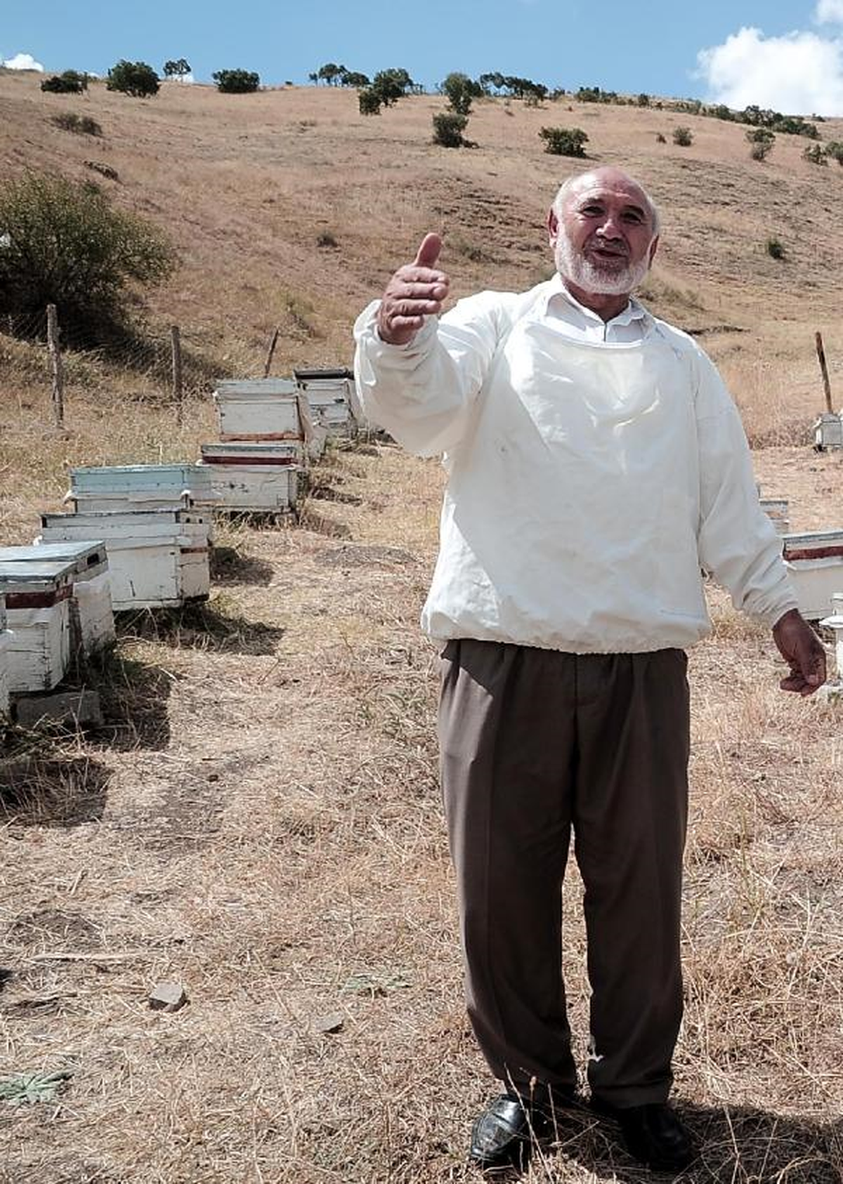 Yozgat\'ta Arıcıların Derdi Sahte Bal