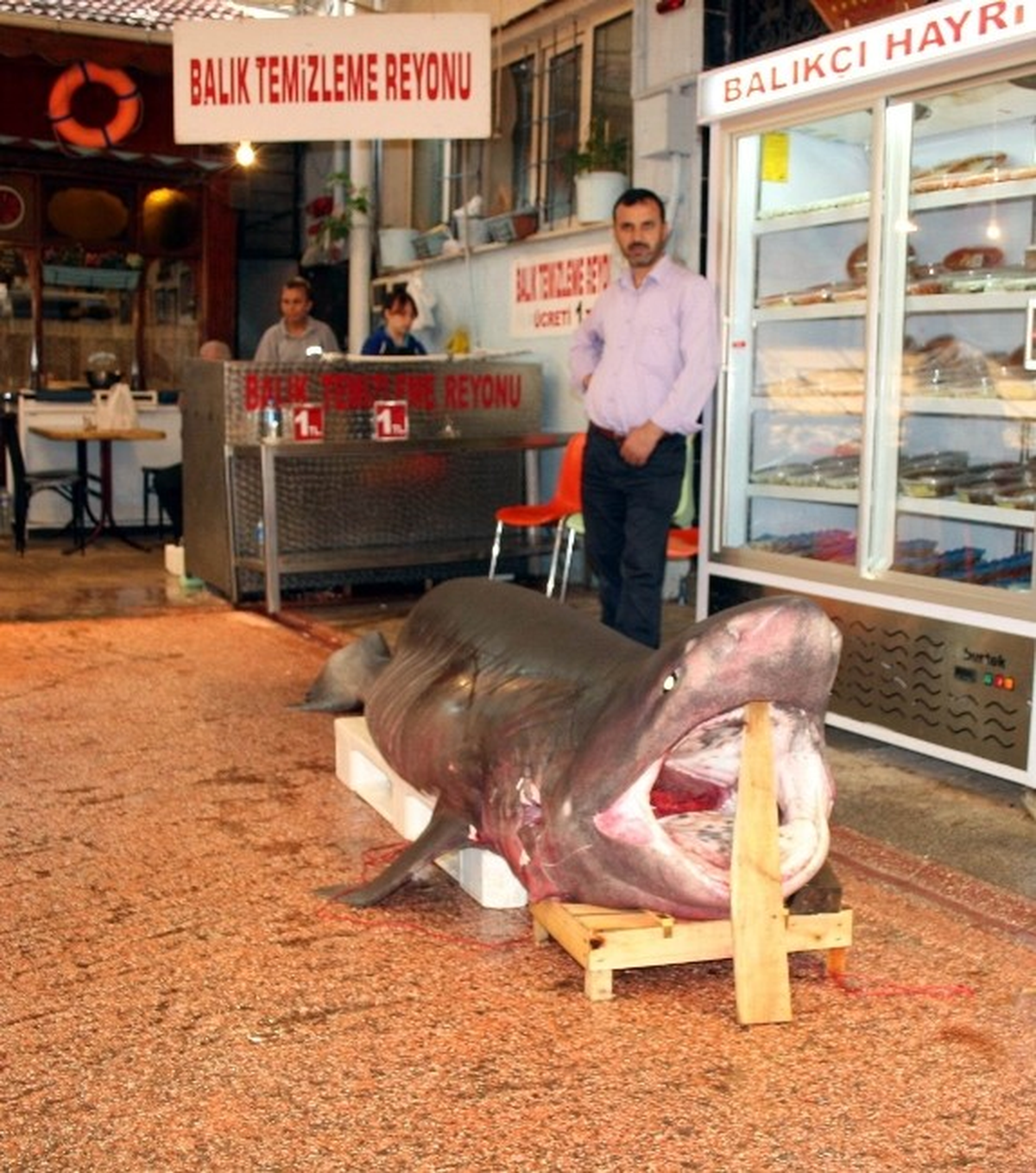 Bursalıların Jaws Merakı