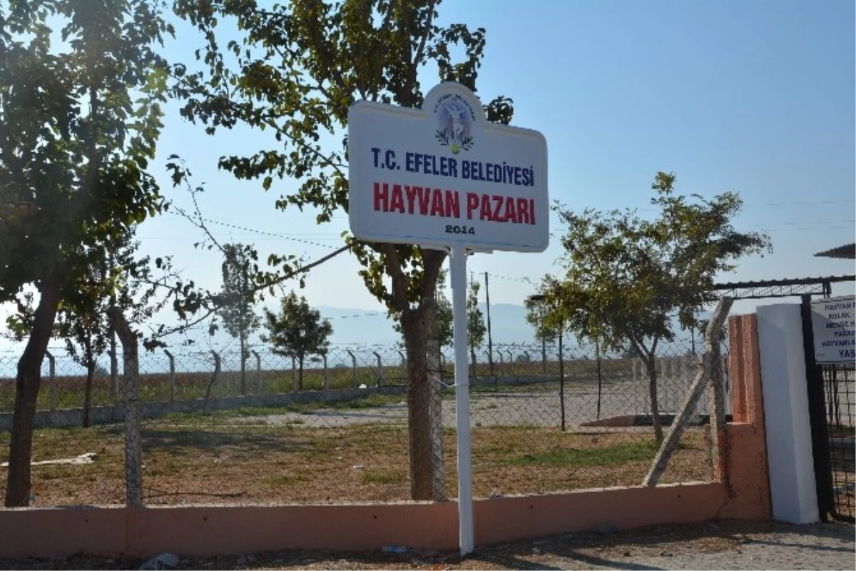 Efeler Belediyesi Kurban Bayramına Hazır