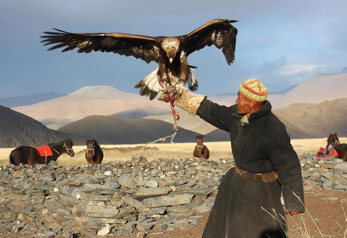 Gazella Turizm\'den Türkiye\'de Bir İlk