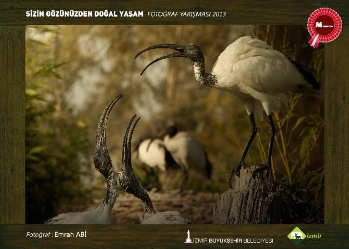 İzmir Doğal Yaşam Parkı\'nda Yarışma Heyecanı Başladı