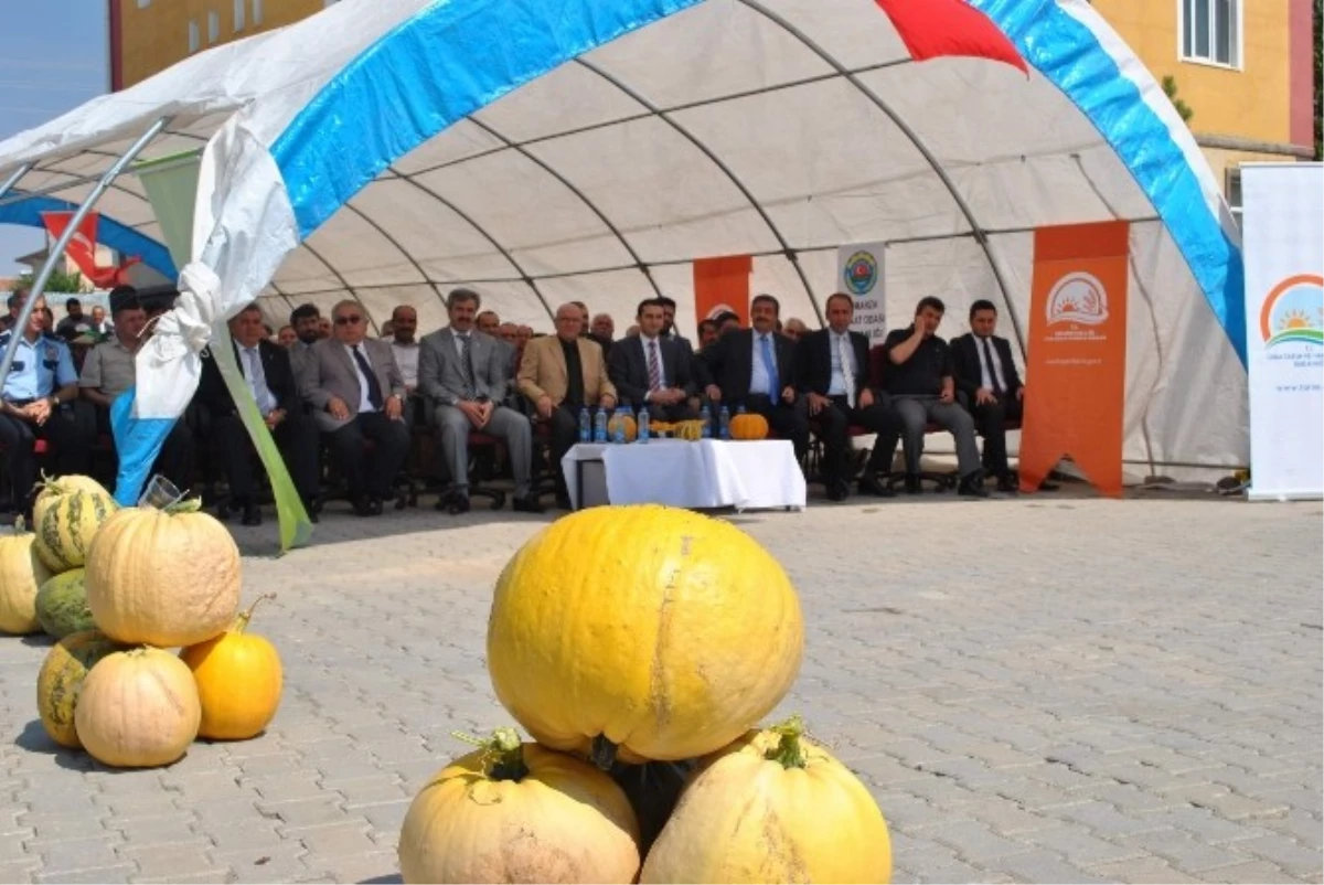 Kayseri Kabak Çekirdeğinde de Söz Sahibi Olacak