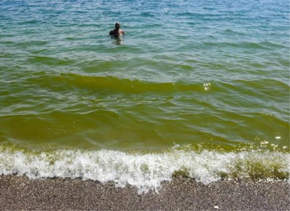 Antalya\'daki Yeşil Denizin Nedeni \'Alg\' Patlaması