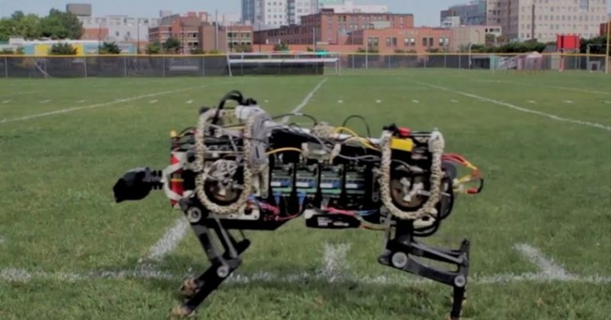 Mıt \'Nin Robot Çitası!