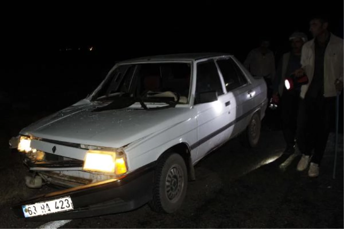 Siverek\'te Otomobil, At Arabasına Çarptı: 5 Yaralı