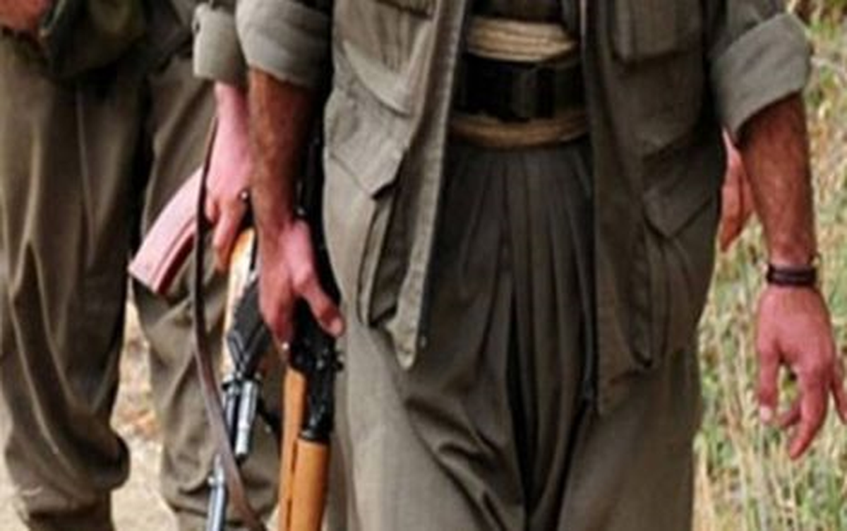 Pkk, Bingöl\'de Kaçırdığı Müteahhidi Serbest Bıraktı