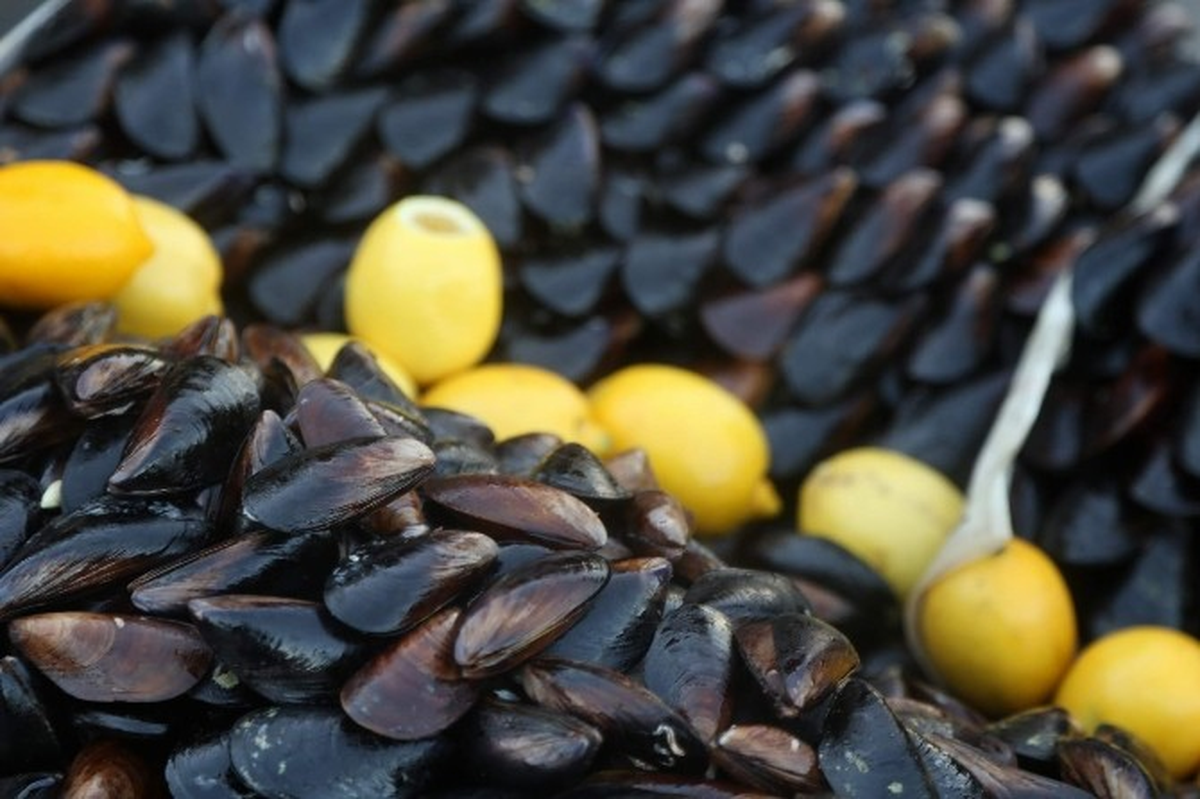 Selçuk'ta Midye Satışı Yasağı