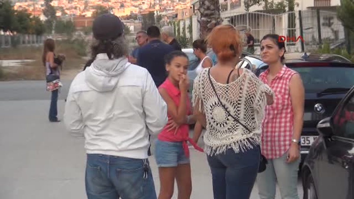 Site Yönetimi Kedileri Topladı, Hayvanseverler İsyan Etti
