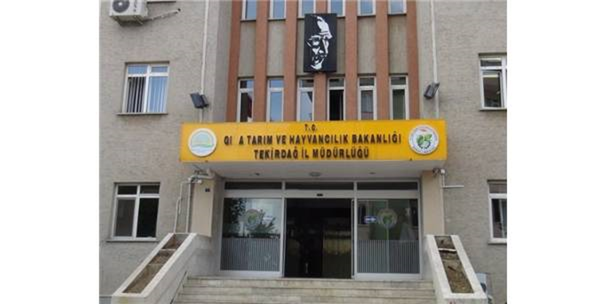 Tabeladan Harf Düştü, Bir Aydır Fark Edilmedi