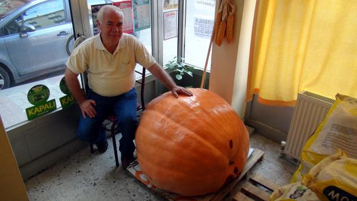 Edirneli Çiftçi 200 Kiloluk Bal Kabağı Yetiştirdi