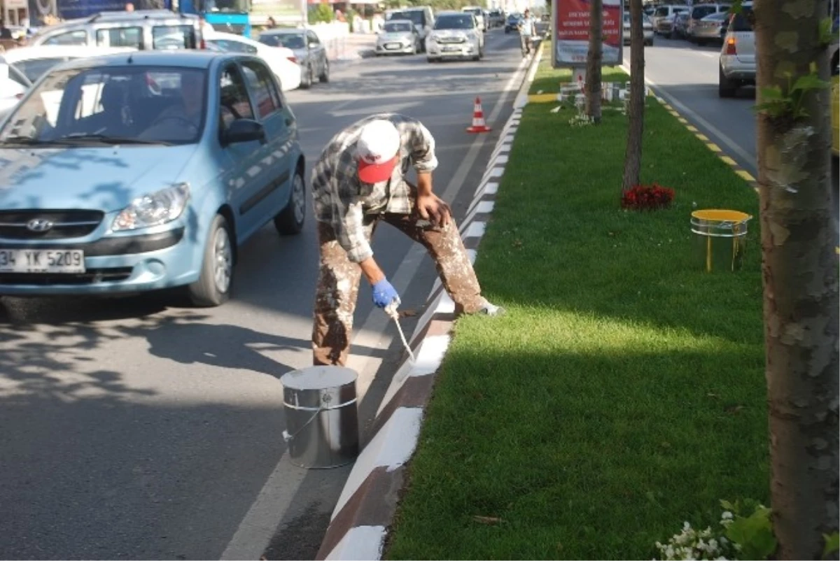 Çerkezköy\'de Bordürler Sarı-Beyaz Boyanıyor