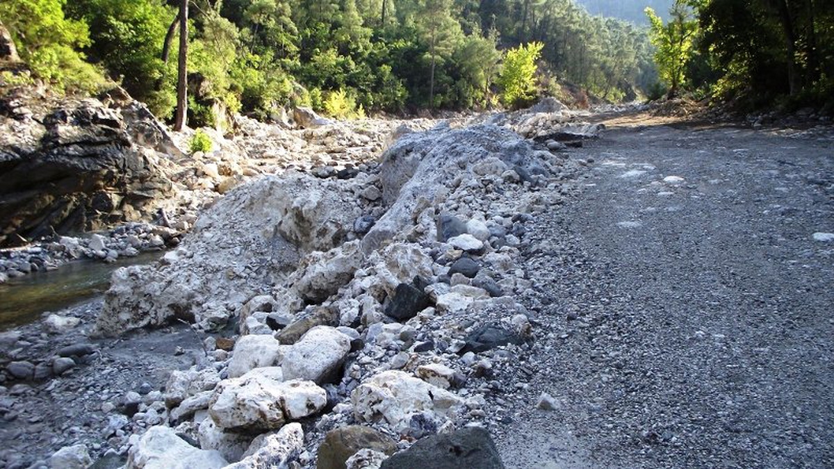 CHP Artvin Milletvekili Bayraktutan Açıklaması