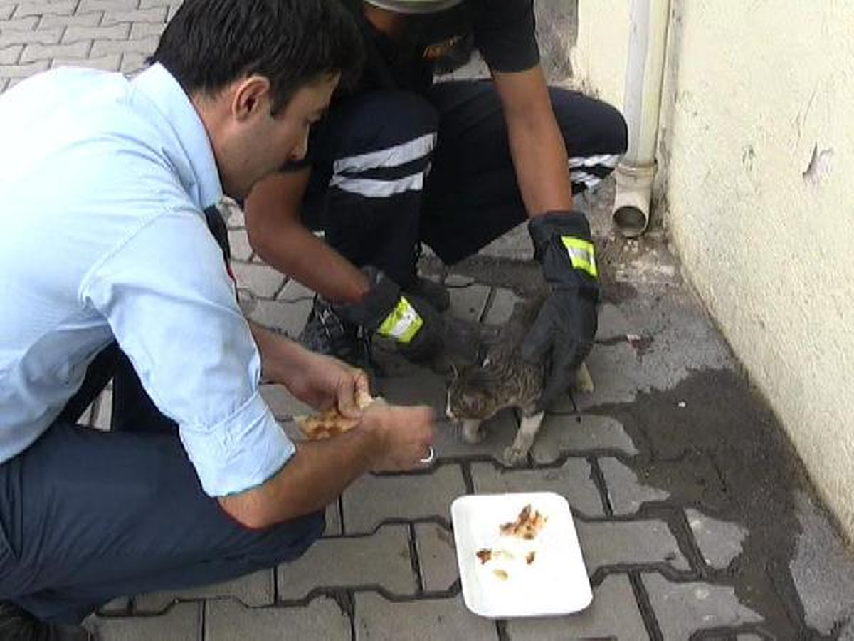 İtfaiyeden Yavru Kediyi Kurtarma Operasyonu