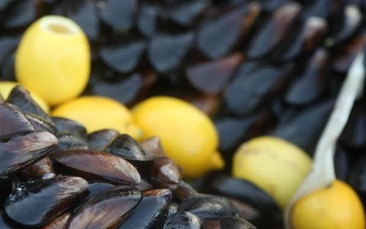 Selçuk\'ta Midye Satışına Geçit Yok