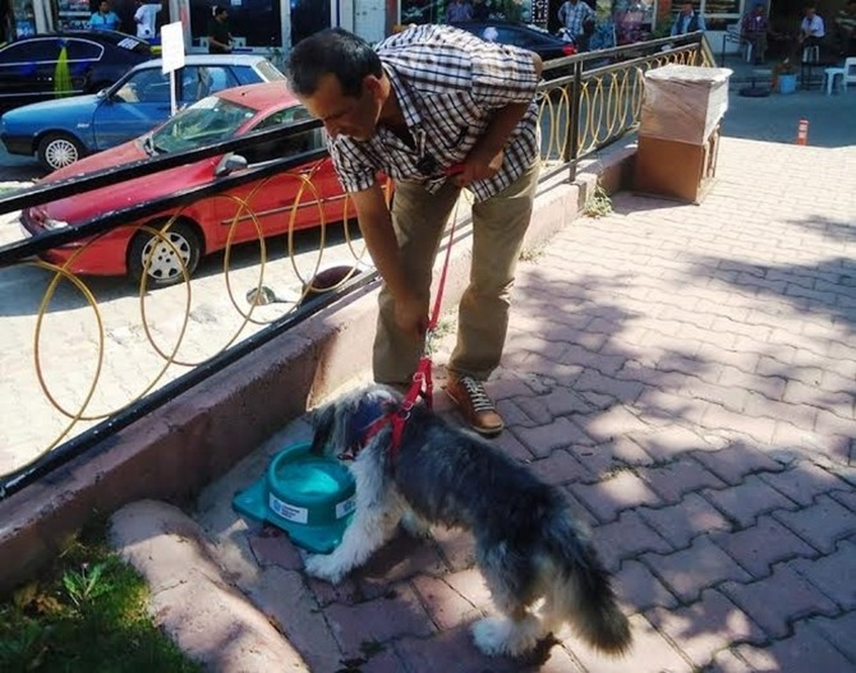 Süleymanpaşa Belediyesi Sokak Hayvanlarını Unutmadı