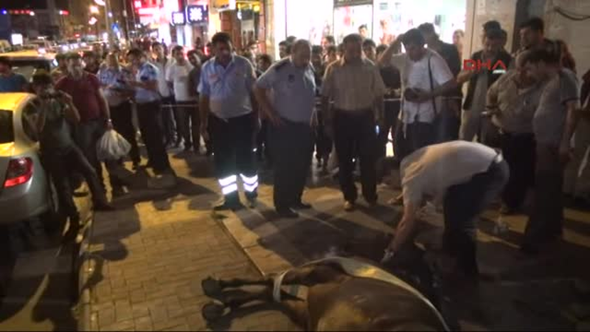 Şanlıurfa\'da Yaralı Bir At, Trafiği Aksattı