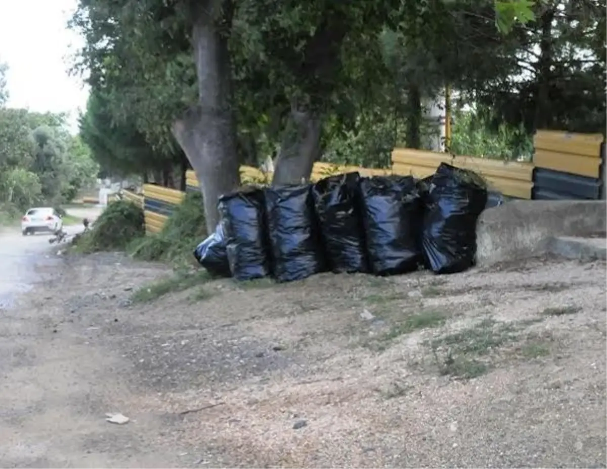 Çim ve Ot Biçme Çalışmalarına Barbaros Mahallesi İle Devam Edildi