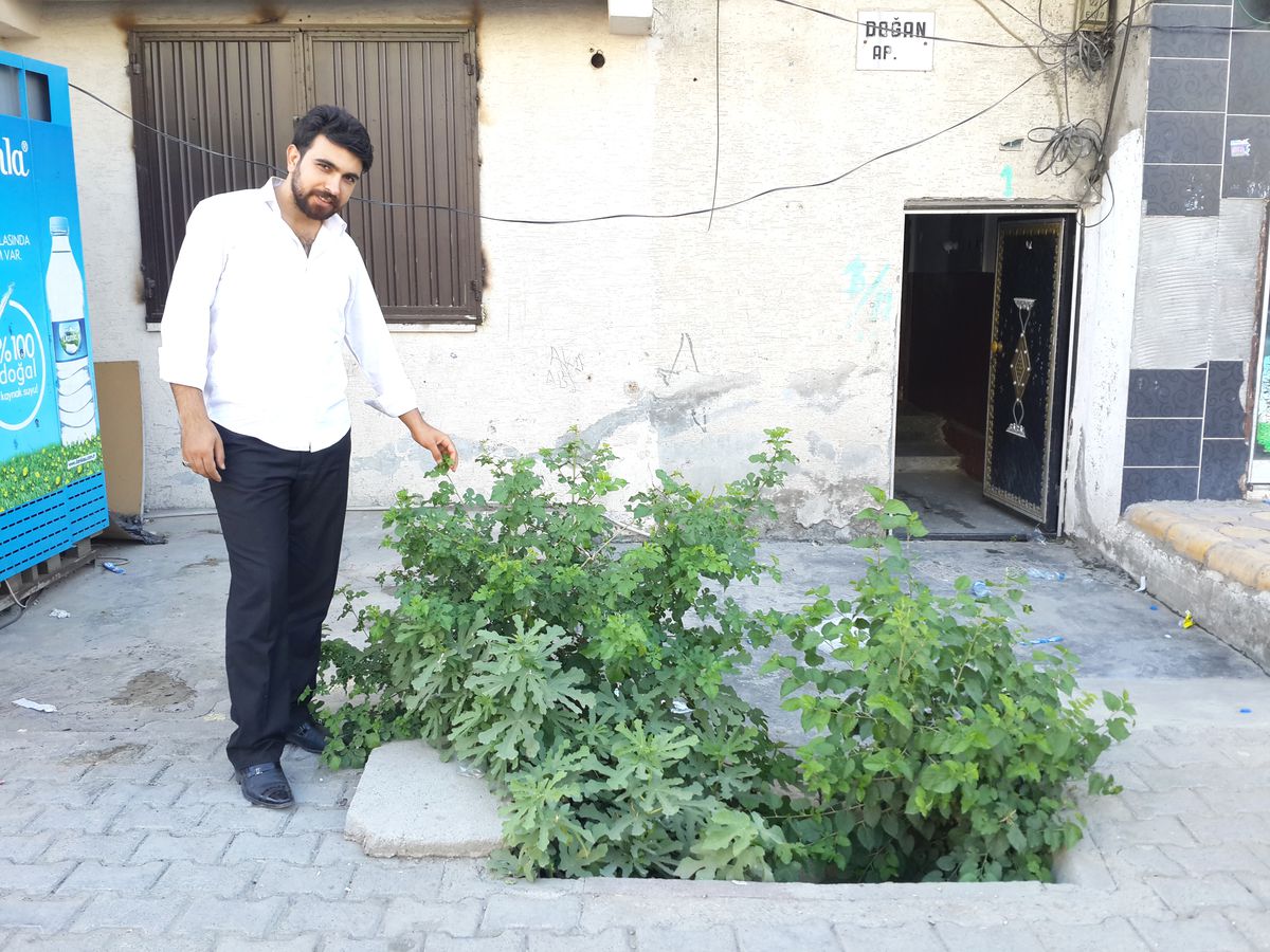 Rögarda Ağaç Yeşerdi!