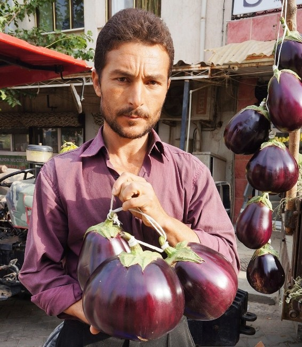 Sarıgöl\'de Devasa Patlıcan Yetiştirdi