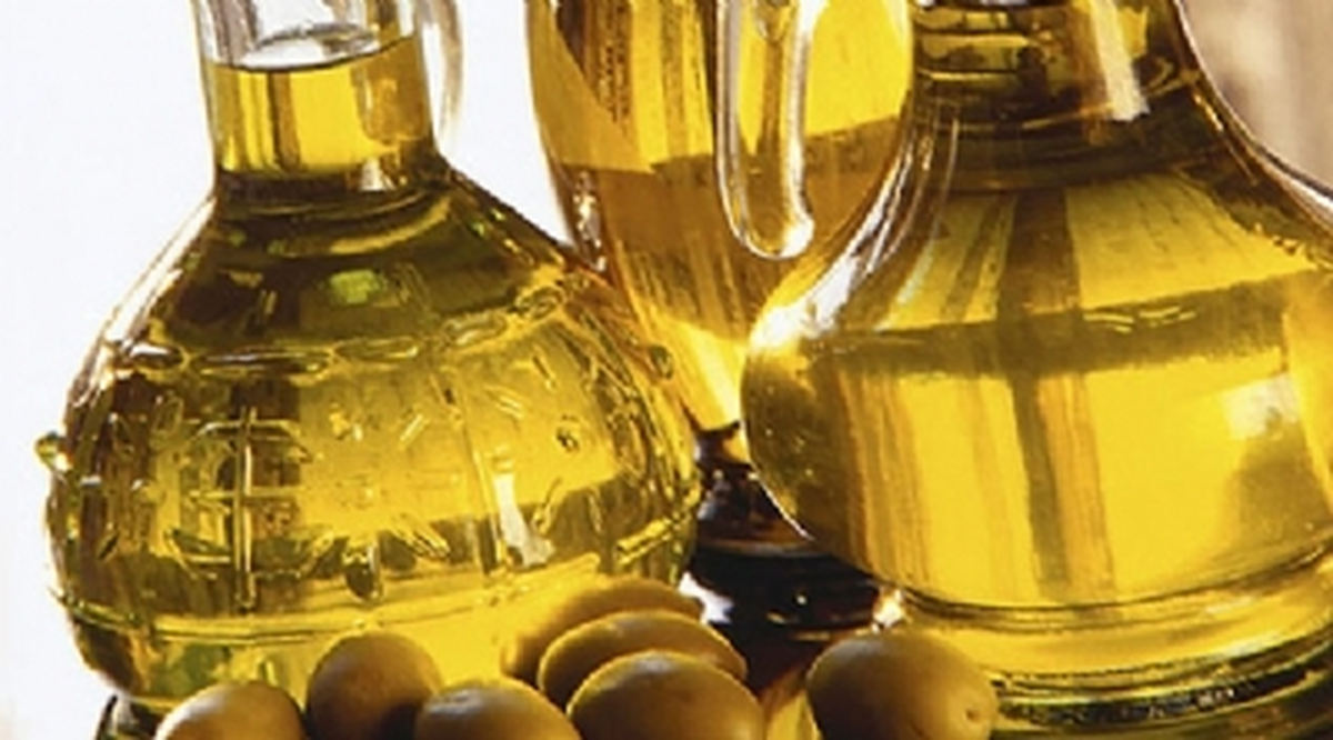 Zeytin ve Zeytinyağı Rekoltesi