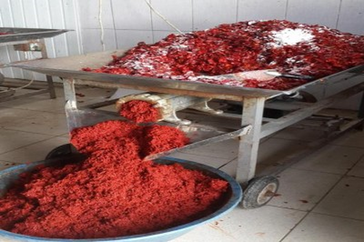 Gıda Tarım ve Hayvancılık İl Müdürlüğü\'nden Salça Uyarısı