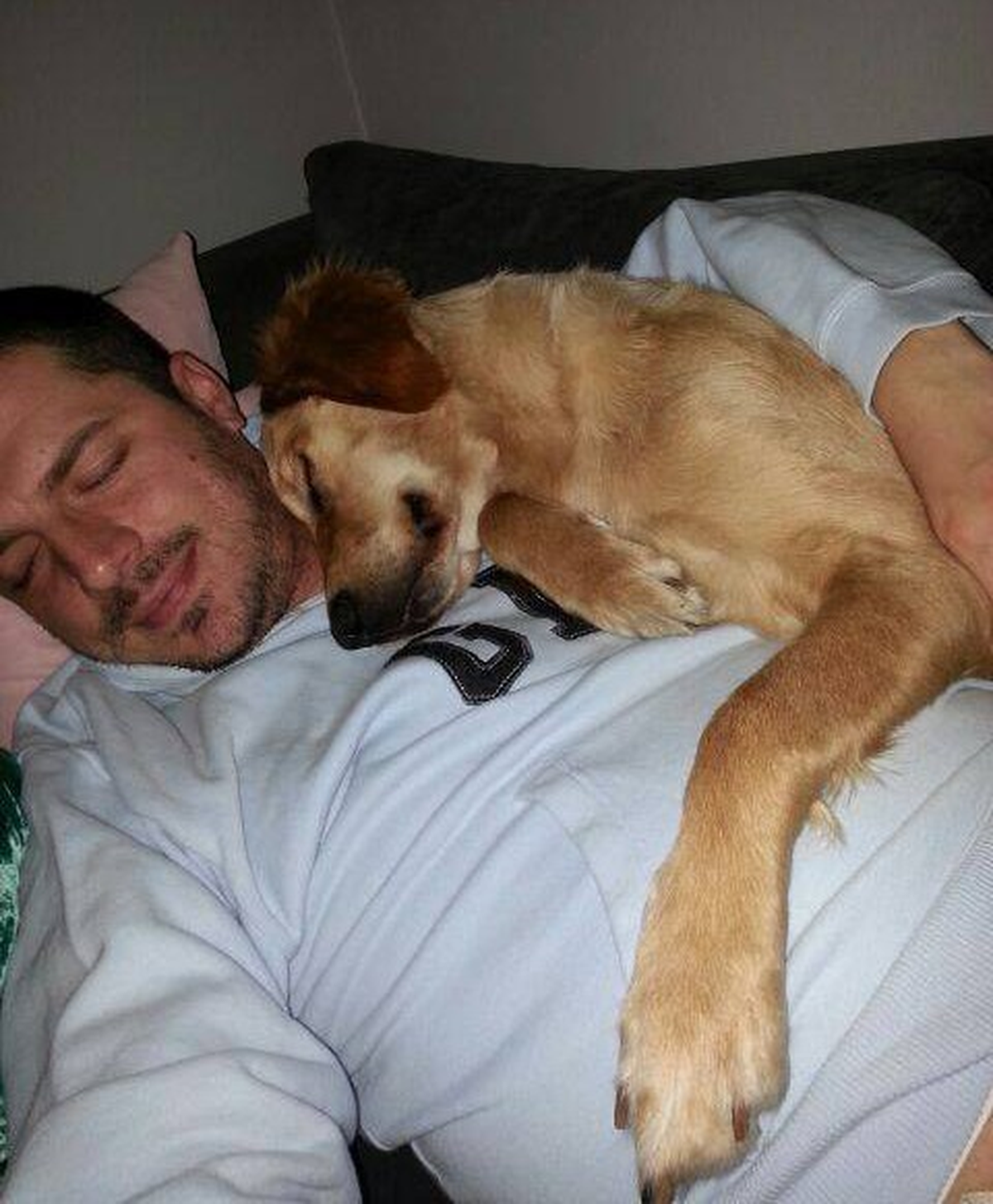 Köpeğin İnanılmaz Sevgi Gösterisi Kamerada