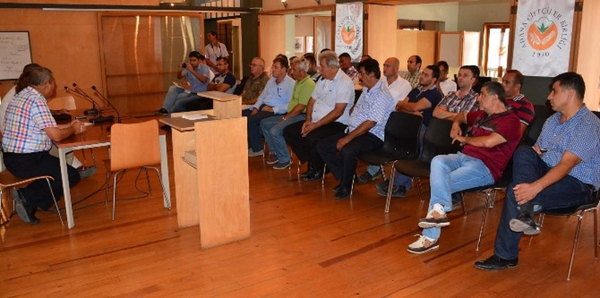 Narenciyenin Belalısı "Akdeniz Sineği" İhracatın da Kanını Emiyor