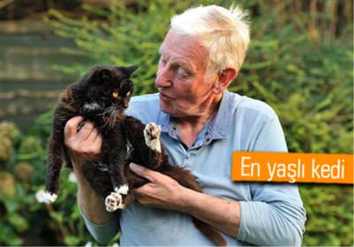 115 Yaşındaki Kedi Guinness\'e Girmeye Hazırlanıyor