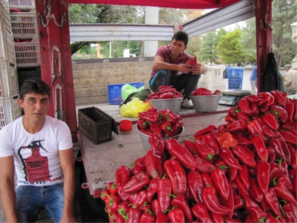 Kuraklık Kırmızıbiber Fiyatlarını Yükseltti