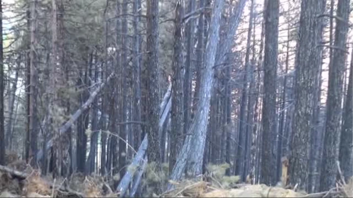 Yangını söndürmeye gitmeyen köylülere oyun yasağı -