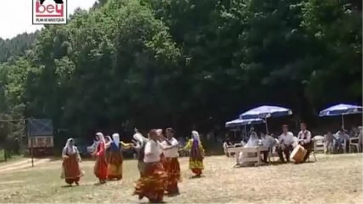 Azdavaylı Şen Kardeşler - Yandan Halimem