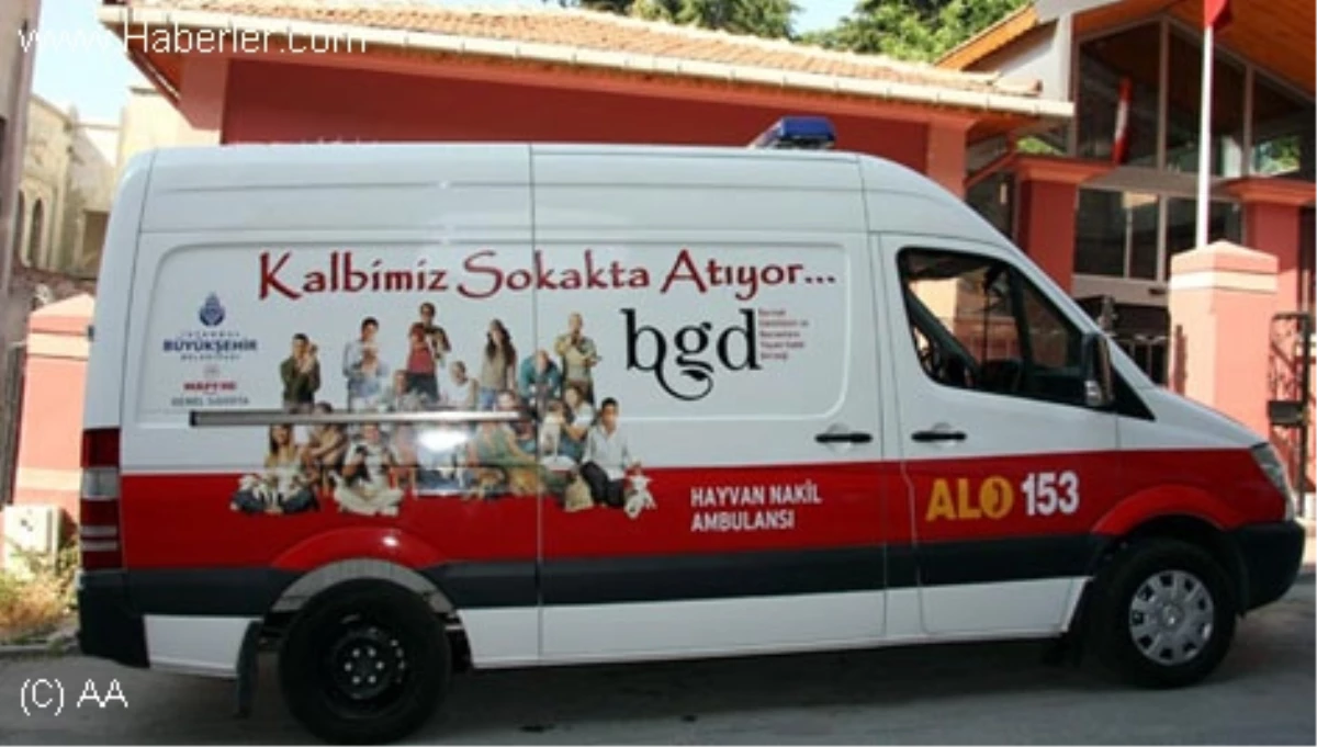 Çankırı Hayvanlara Özel Ambulans