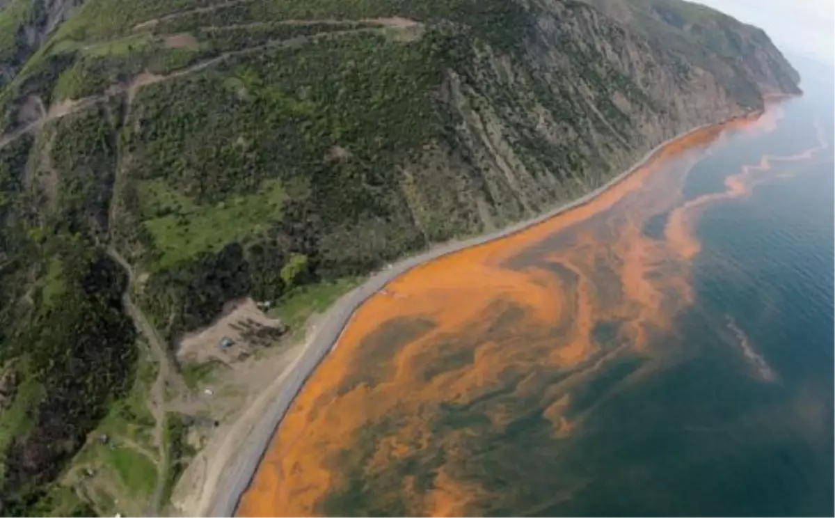 Marmara Denizi Bu Olayla Kızıla Döndü