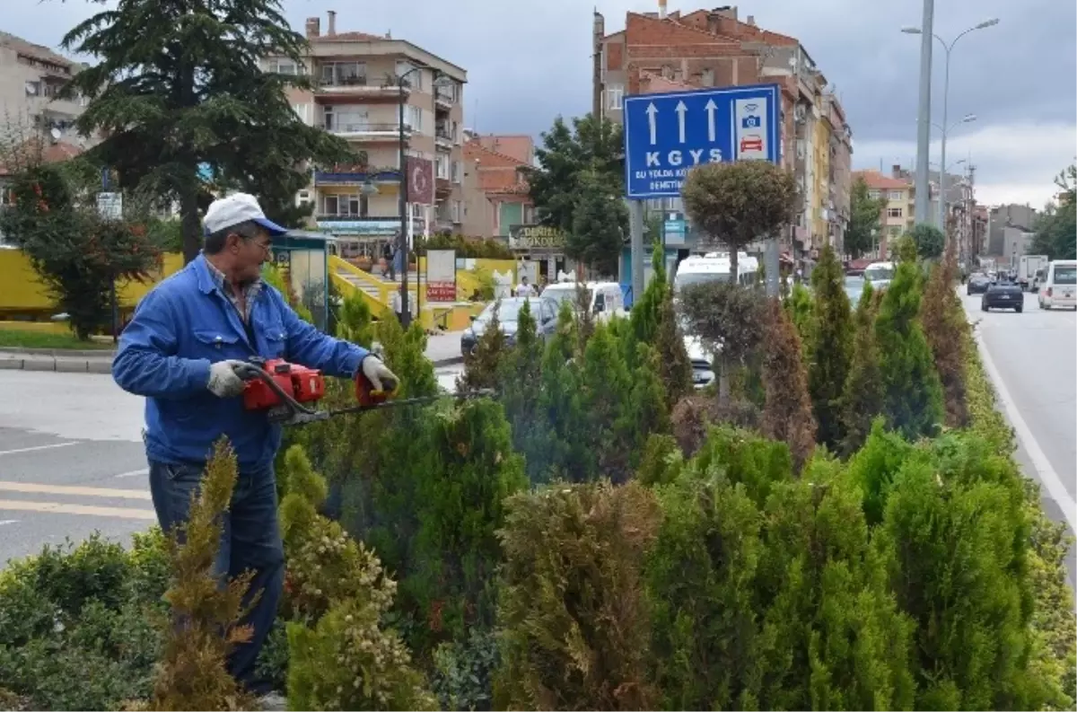 Bilecik\'teki Orta Refüjler Yemyeşil Görünümünü Koruyor